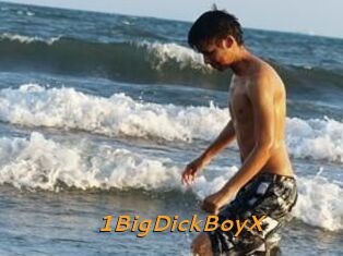 1BigDickBoyX