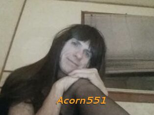 Acorn551