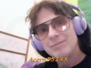 Acorn551XX