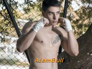AdamBull
