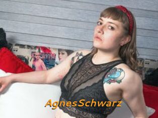 AgnesSchwarz