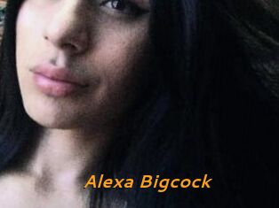 Alexa_Bigcock