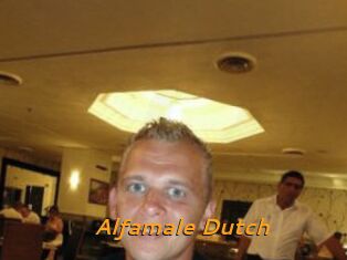 Alfamale_Dutch