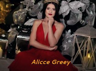 Alicce_Greey