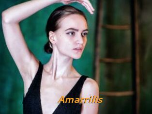 Amarrilis