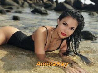 AminaKey