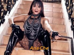 AnaChe
