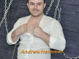 AndrewHammer