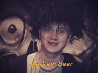 Andrew_Bear