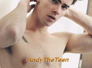 AndyTheTeen