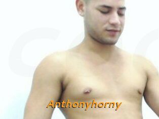 Anthonyhorny
