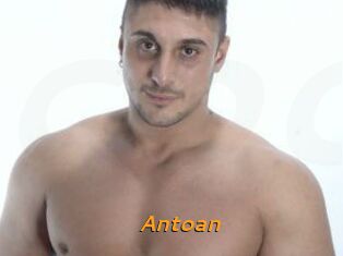 Antoan
