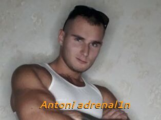 Antoni_adrenal1n