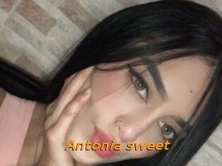 Antonia_sweet