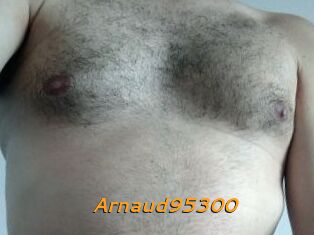 Arnaud95300