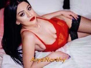 AryaNorthy