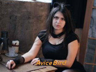 AviceBird