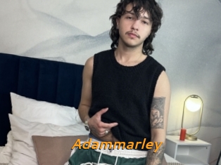 Adammarley