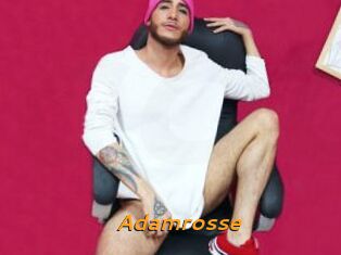 Adamrosse