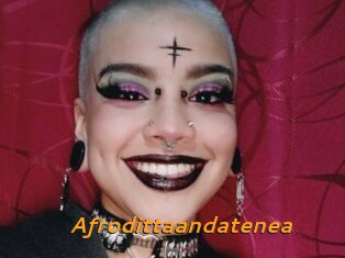 Afrodittaandatenea