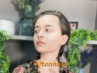 Aftonhase