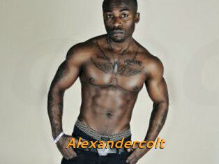 Alexandercolt
