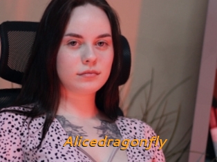 Alicedragonfly