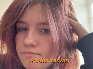 Alodiahankin