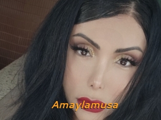 Amaylamusa