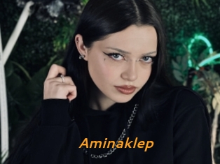 Aminaklep