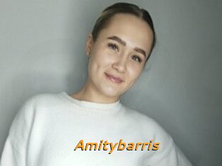 Amitybarris