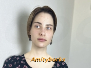 Amityburks