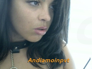 Andiamoinpvt