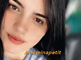Andreinapetit