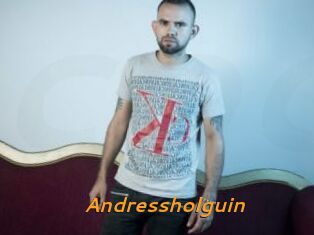 Andressholguin