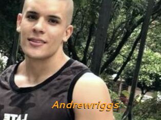 Andrewriggs