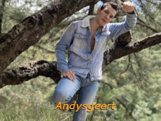 Andysgeert
