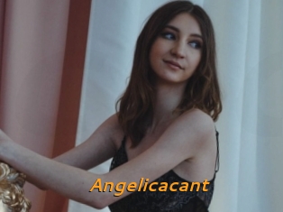 Angelicacant