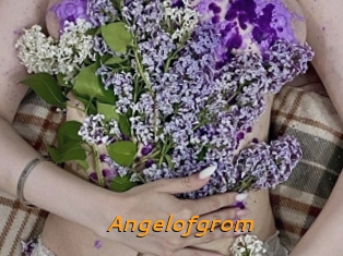 Angelofgrom