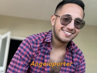 Angeloporter