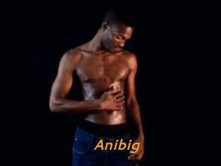 Anibig