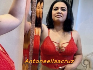 Antoneellaacruz