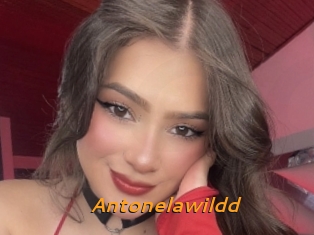 Antonelawildd