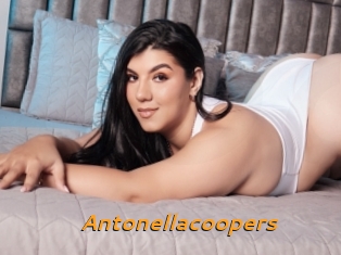 Antonellacoopers