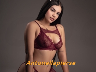 Antonellapierse