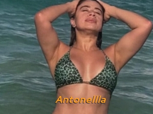 Antonellla
