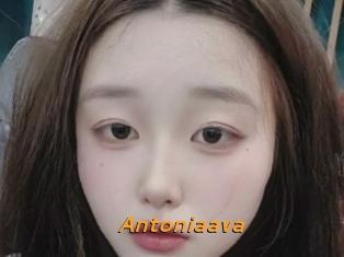 Antoniaava