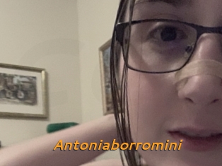 Antoniaborromini