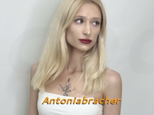 Antoniabracher