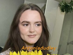 Antoniadudley